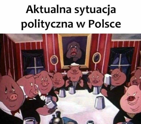 Tego nie ogarniesz