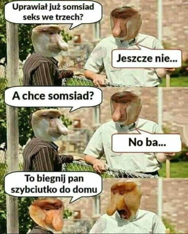 Rozmowa Janusza z sąsiadem