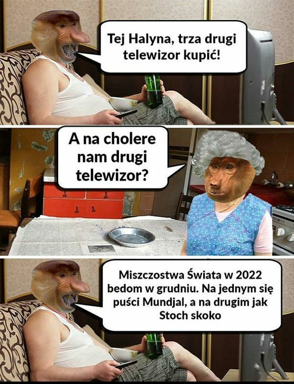 Janusz i jego plany