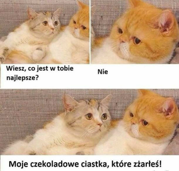 Rozmowa ukochanych
