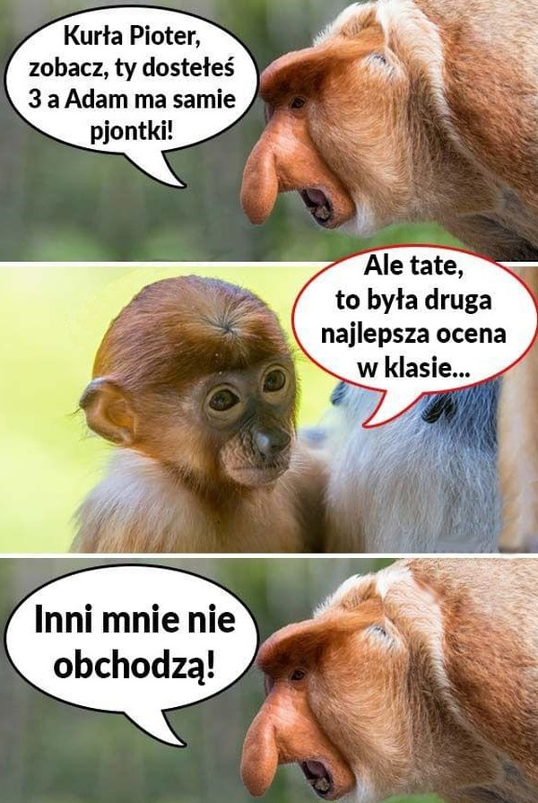 Pjoter i nauka. Na pewno znacie ten tekst :D