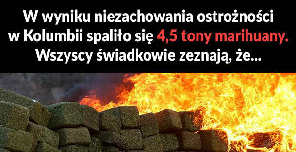 Kto jest odpowiedzialny za pożar?