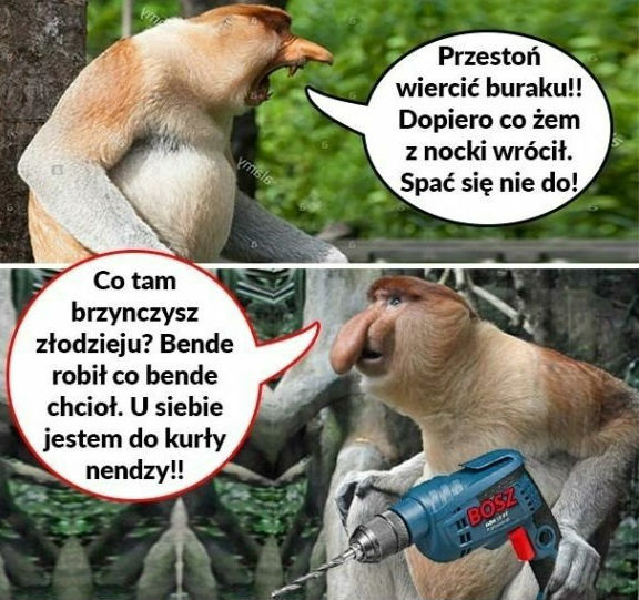 Frustracja Janusza