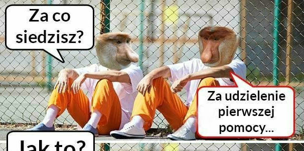 Janusz w więzieniu!