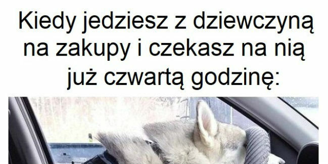 Co za dziewczyna