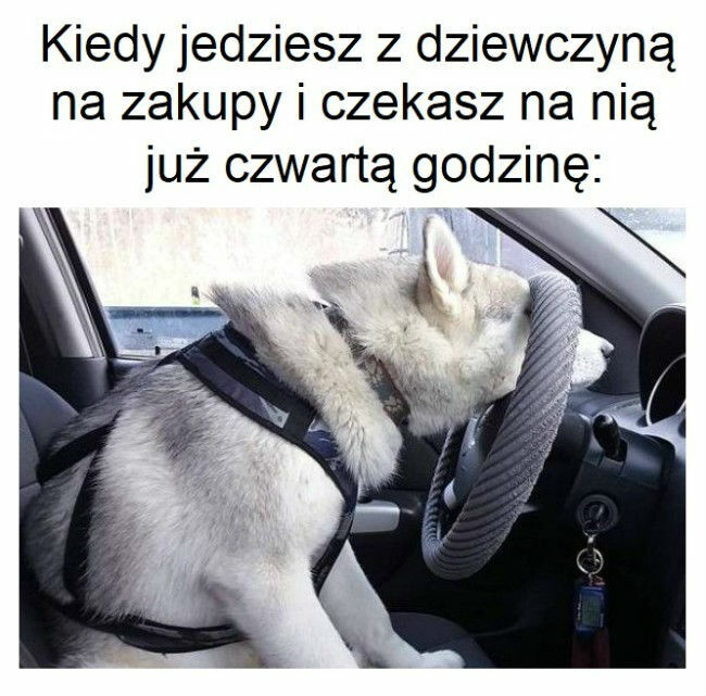 Co za dziewczyna