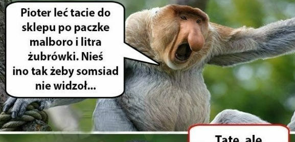 Przysługa dla Janusza