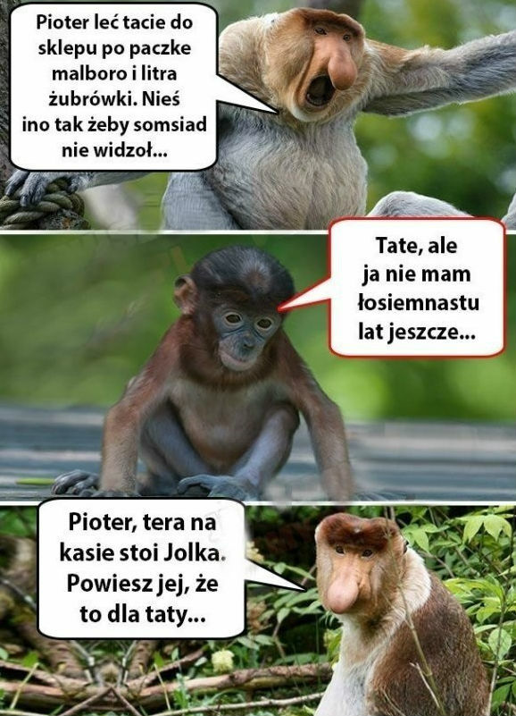 Przysługa dla Janusza