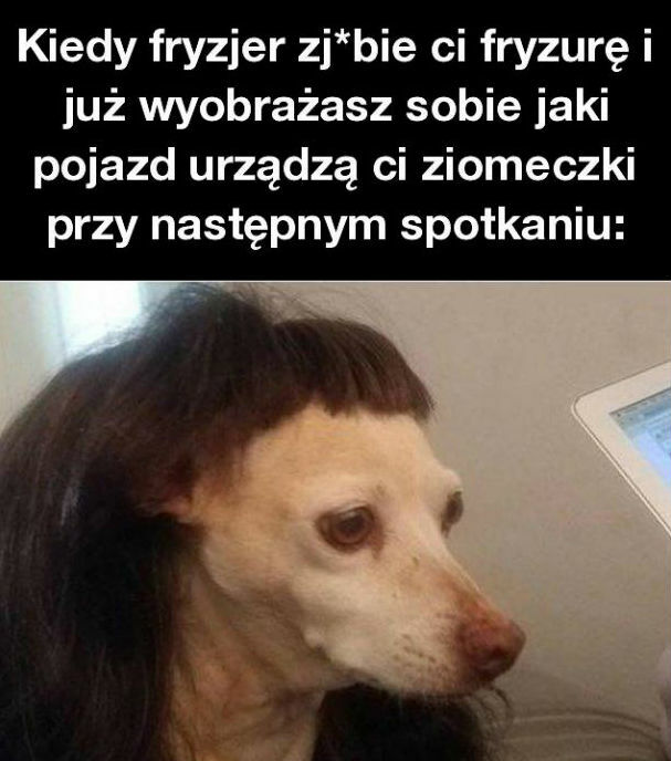 Niefortunna wizyta u fryzjera