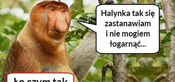 Janusz i jego problem