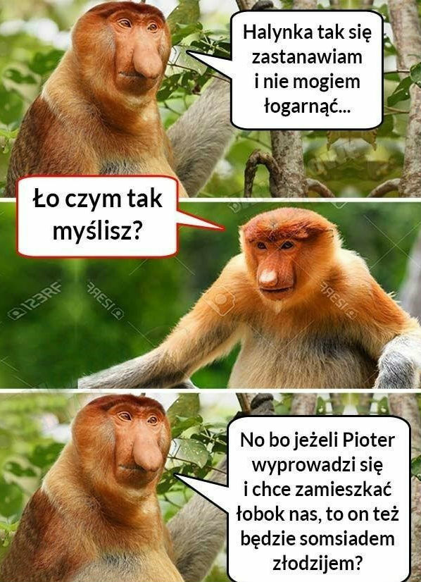 Janusz i jego problem