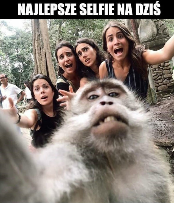 Doskonałe selfie