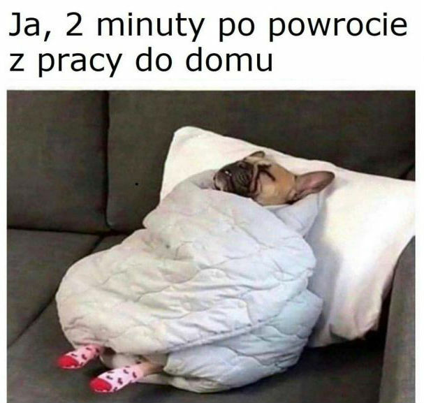 Powrót z pracy