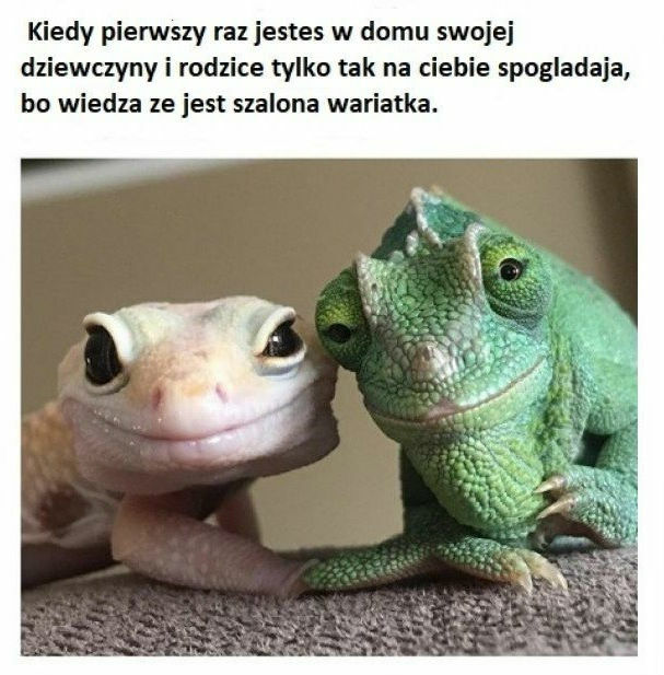 Tego się nie zapomina