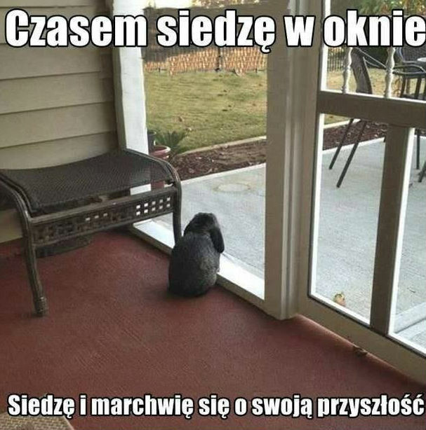 Moja przyszłość!