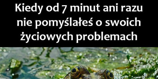 Powód do dumy!