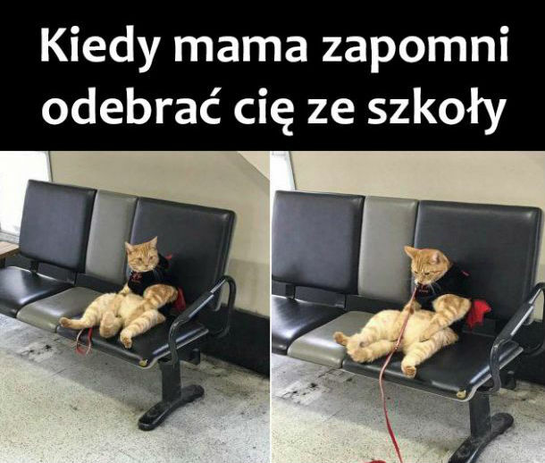Zapominalska mama