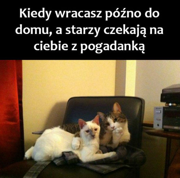 To nie będzie łatwy pojedynek