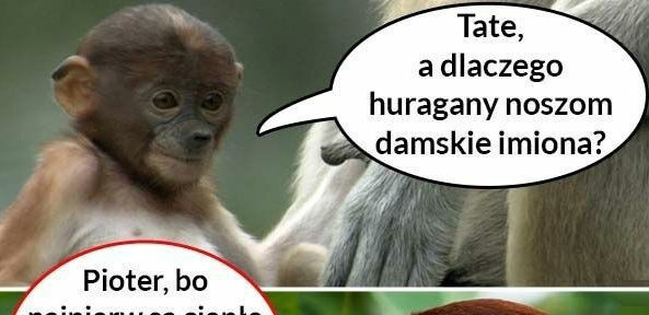 Prawda o kobietach