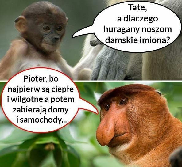 Prawda o kobietach