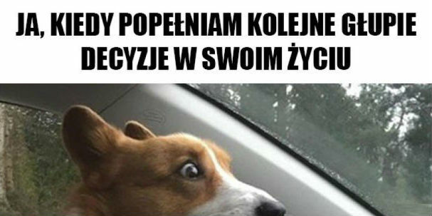 Błędne decyzje