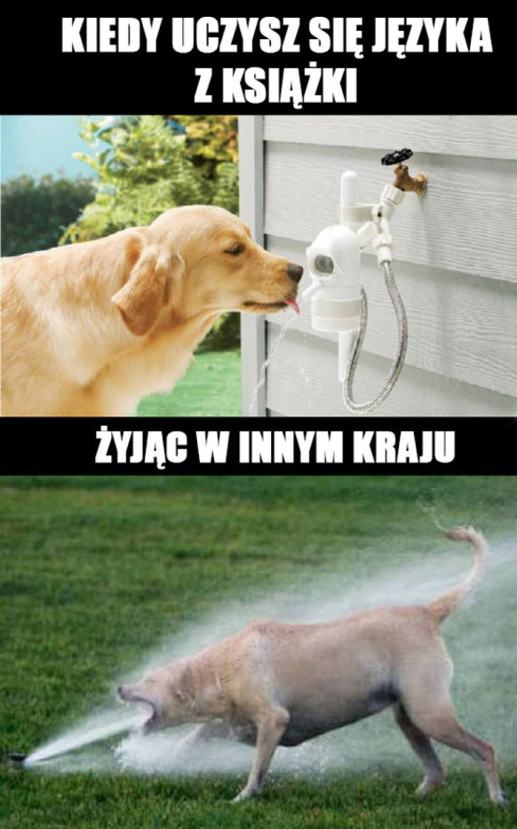 Nauka języka