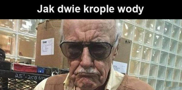 Ogromne podobieństwo