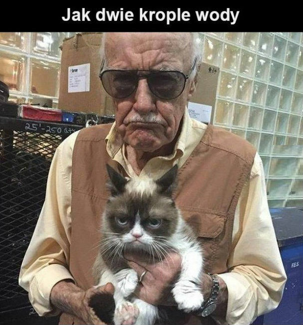 Ogromne podobieństwo