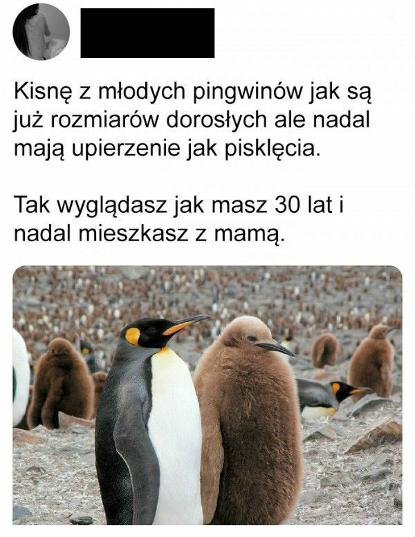 Niby dorosły, ale wciąż dziecko :D