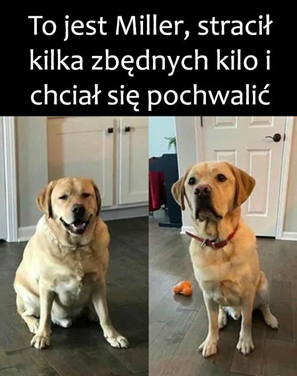 Prawdziwy wzór do naśladowania