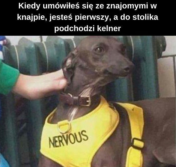Spotkanie ze znajomymi