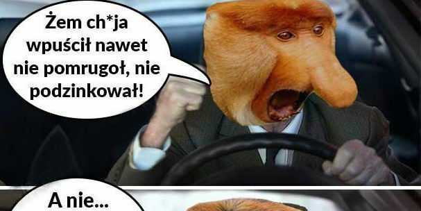 Nerwy są tutaj zbędne