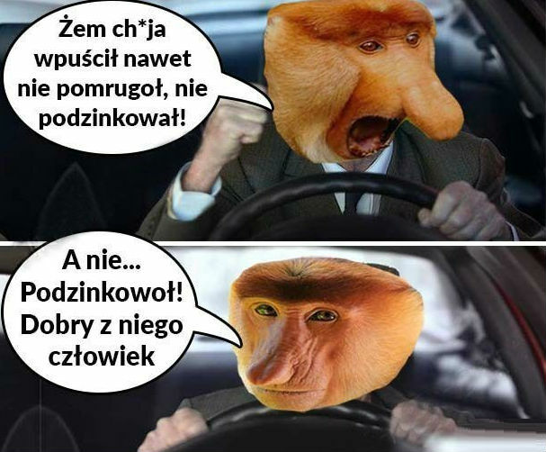 Nerwy są tutaj zbędne