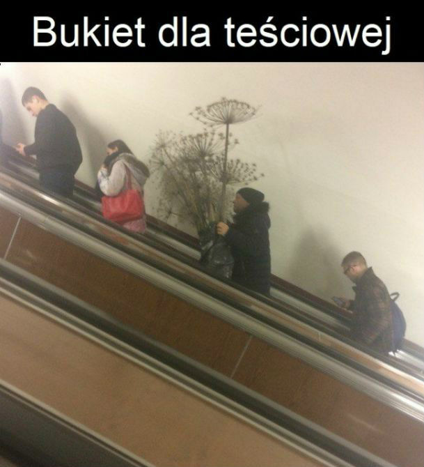 Wspaniały zięć!