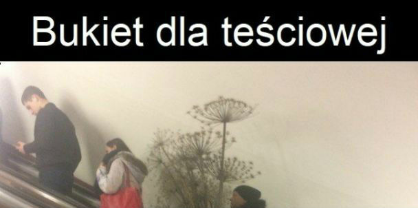 Wspaniały zięć!