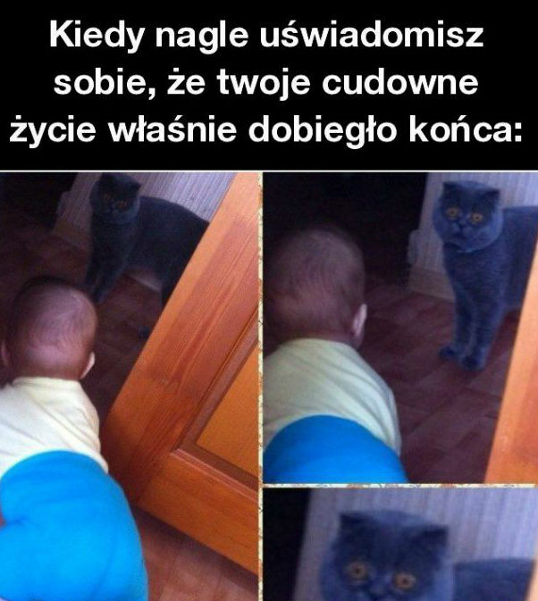 To już koniec!