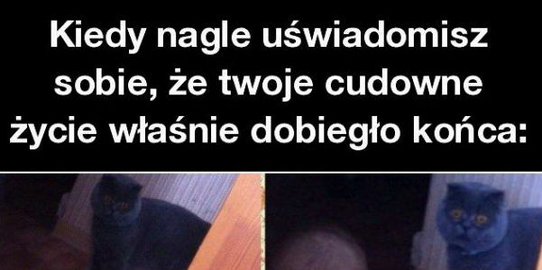 To już koniec!