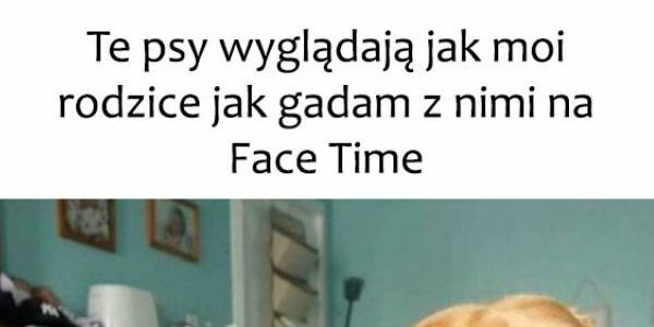 Uderzające podobieństwo