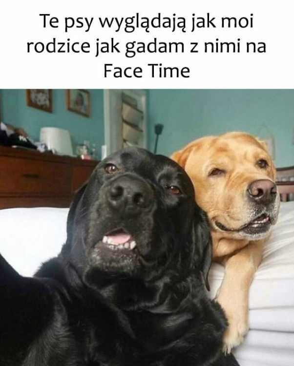 Uderzające podobieństwo