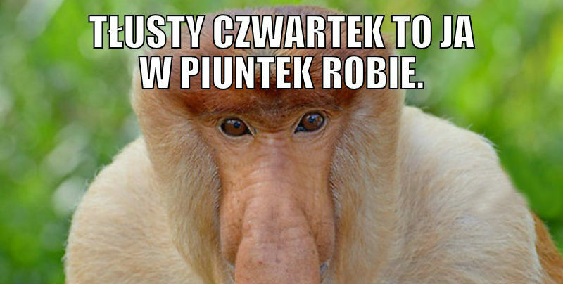 Tłusty czwartek u Janusza