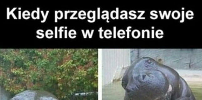 Selfie