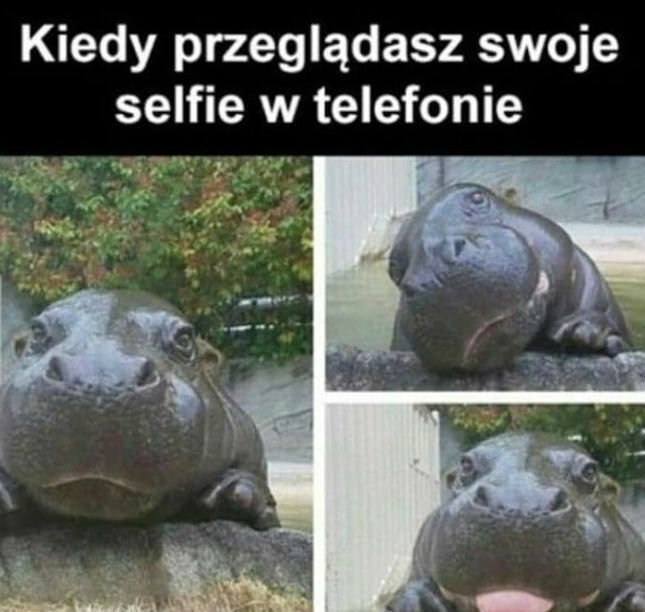 Selfie