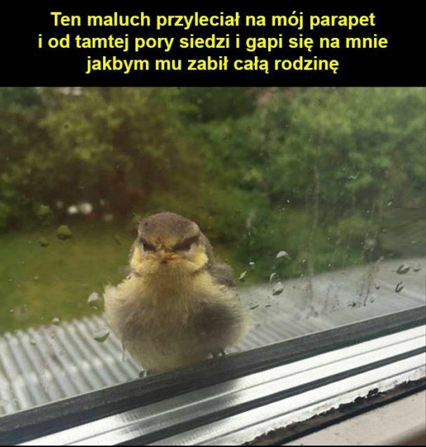 Co tu teraz zrobić?!