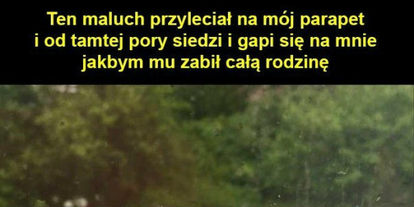 Co tu teraz zrobić?!