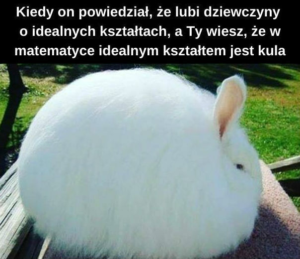 Idealne kształty