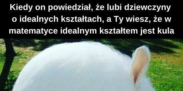 Idealne kształty