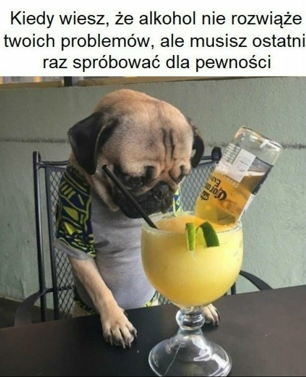 Prawda o alkoholu