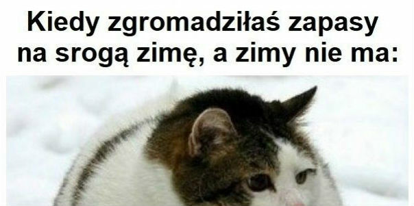 Gdzie ta zima?!