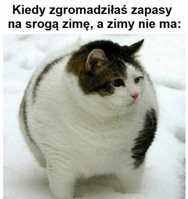Gdzie ta zima?!