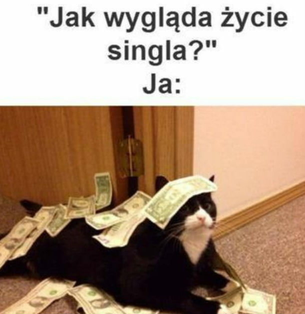 Życie singla